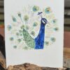 IMG_20260226_143402~2 Carte Aquarelle Paon - Création Artisanale Française - A6 et A5