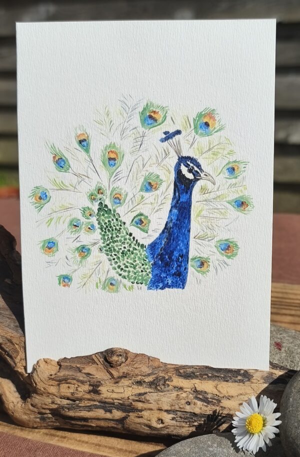 IMG_20260226_143402~2 Carte Aquarelle Paon - Création Artisanale Française - A6 et A5