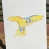 Carte Aquarelle Ara Arauna – Création Artisanale Française – A6 et A5