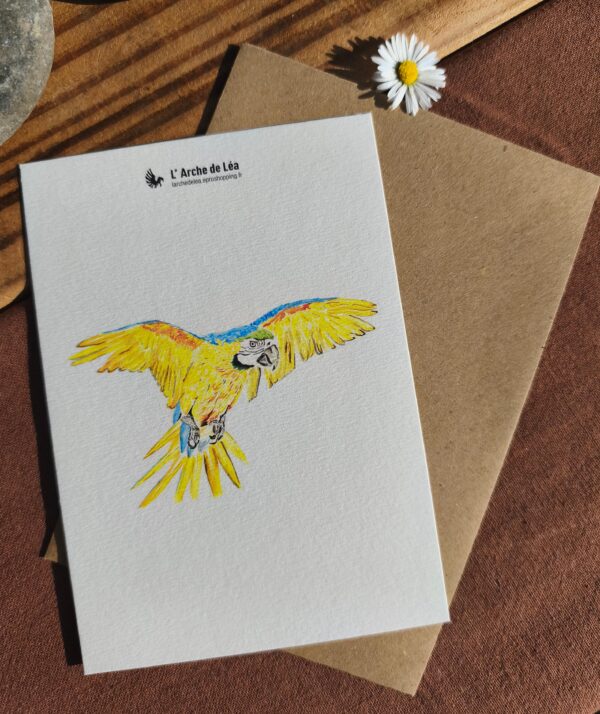 Carte Aquarelle Ara Arauna – Création Artisanale Française – A6 et A5