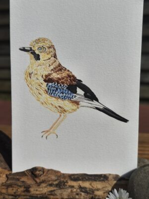 Carte Aquarelle Geai - Création Artisanale Française - A6 et A5