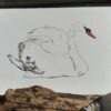 Carte Aquarelle Cygne – Création Artisanale Française – A6 et A5