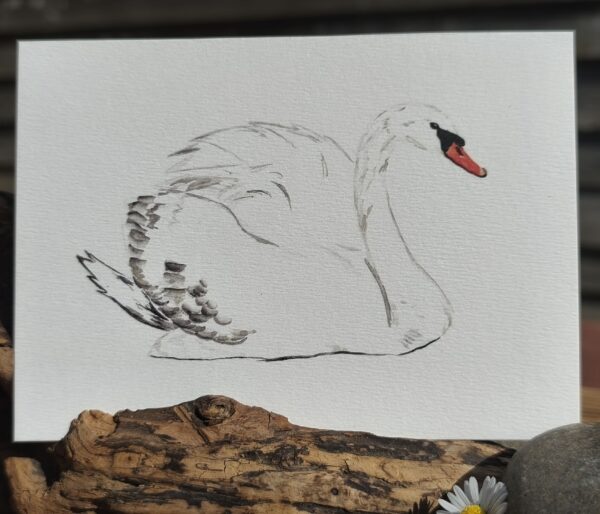 Carte Aquarelle Cygne – Création Artisanale Française – A6 et A5