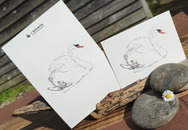 Carte Aquarelle Cygne – Création Artisanale Française – A6 et A5