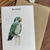 IMG_20260226_154839~3 Carte Aquarelle Eclectus – Création Artisanale Française – A6 et A5