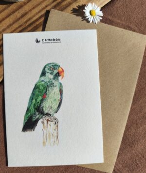 Carte Aquarelle Eclectus – Création Artisanale Française – A6 et A5