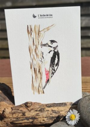 Carte Aquarelle Pic Épeiche - Création Artisanale Française - A6 et A5
